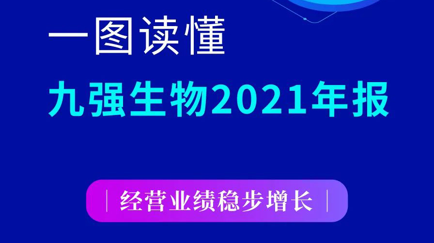 一图读懂开云online(中国)2021年报