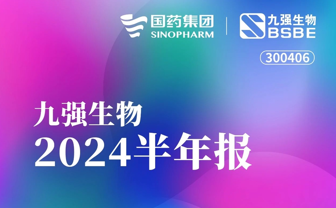 一图读懂开云online(中国)2024半年报
